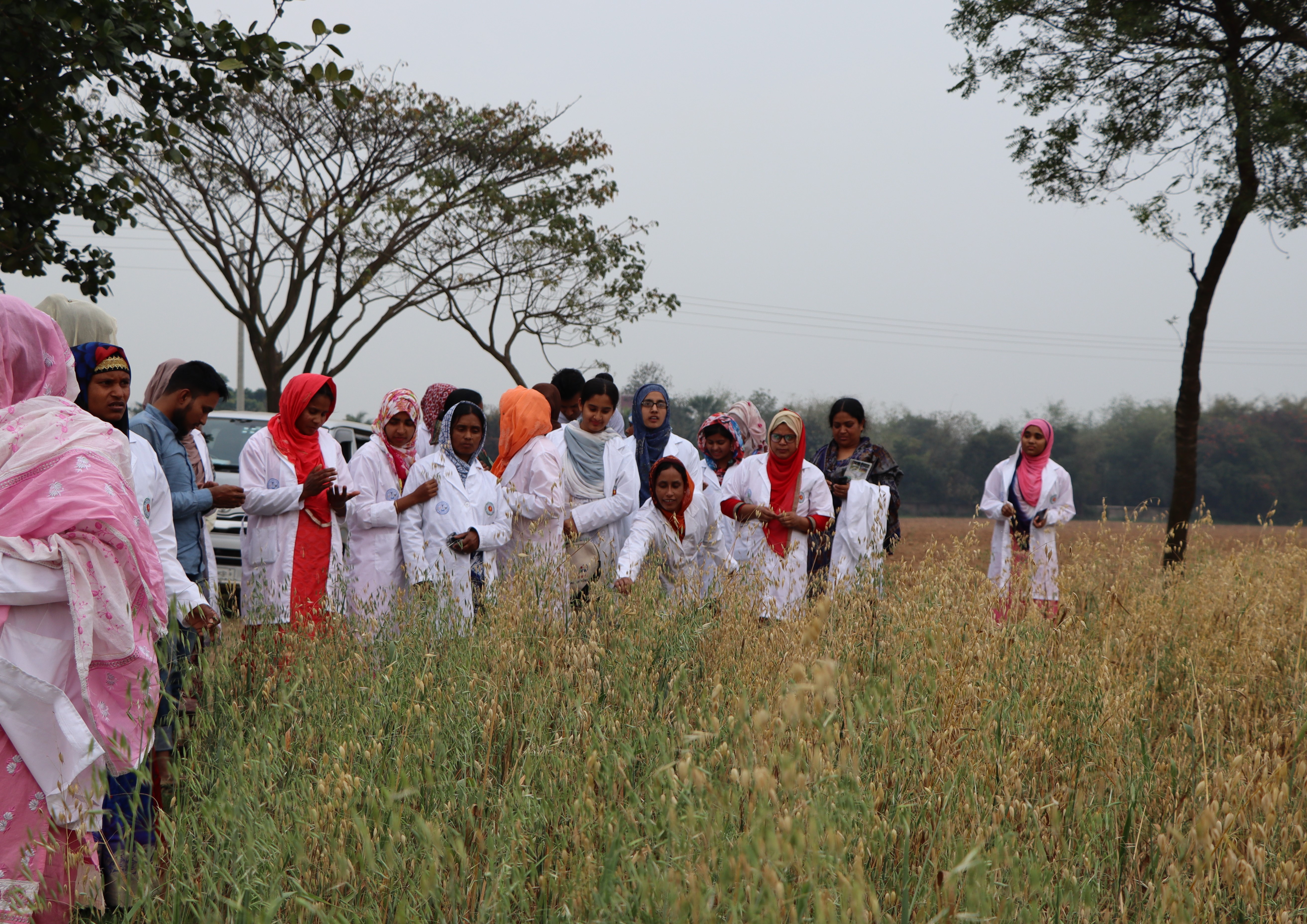 A field training
