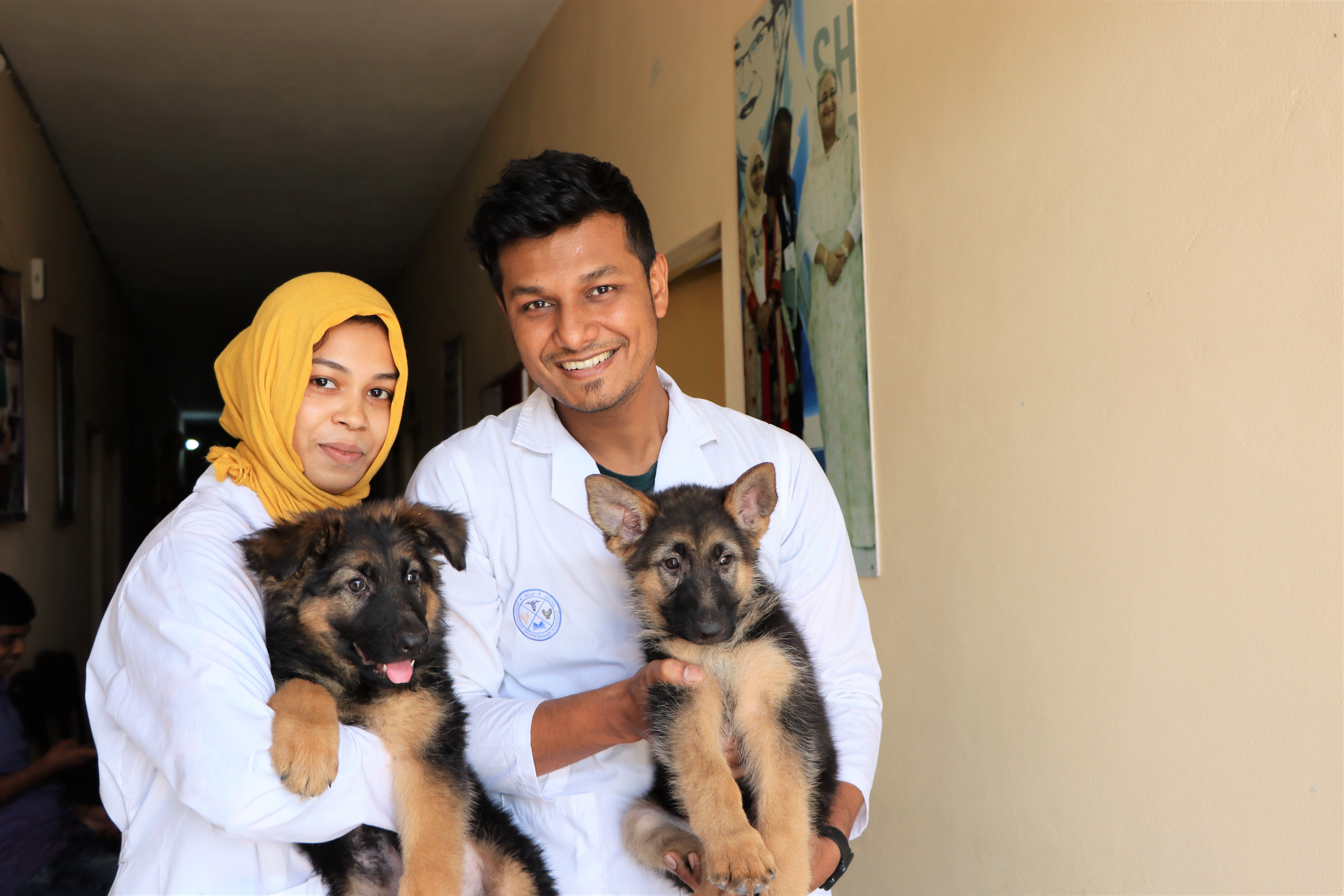Care for companion animals