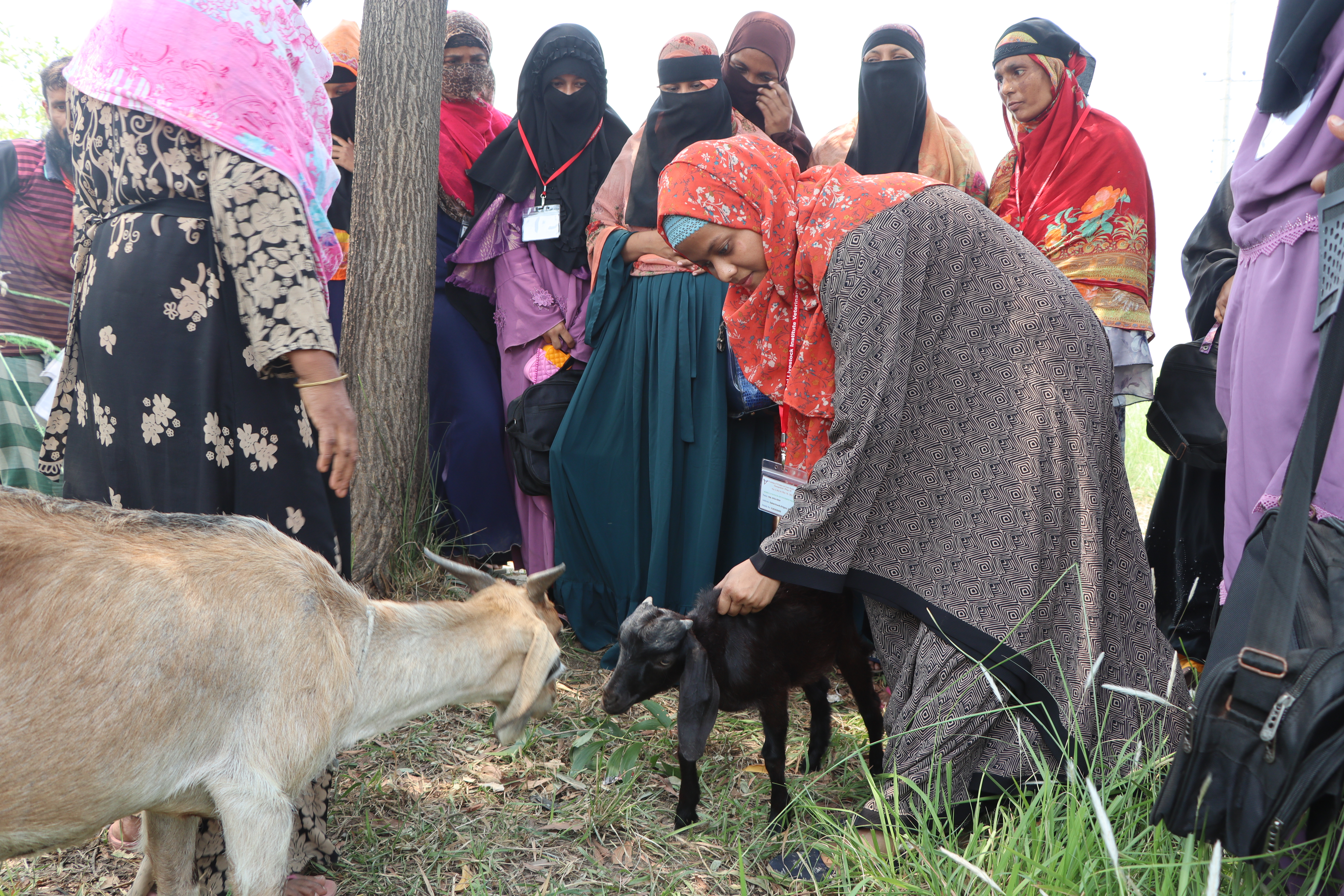 Farmer’s awareness and capacity Building