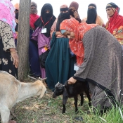 EMPOWERING WOMEN THROUGH GOAT FARMING